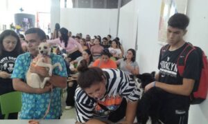 Misión Nevado hará jornada de esterilización y atención de perros y gatos