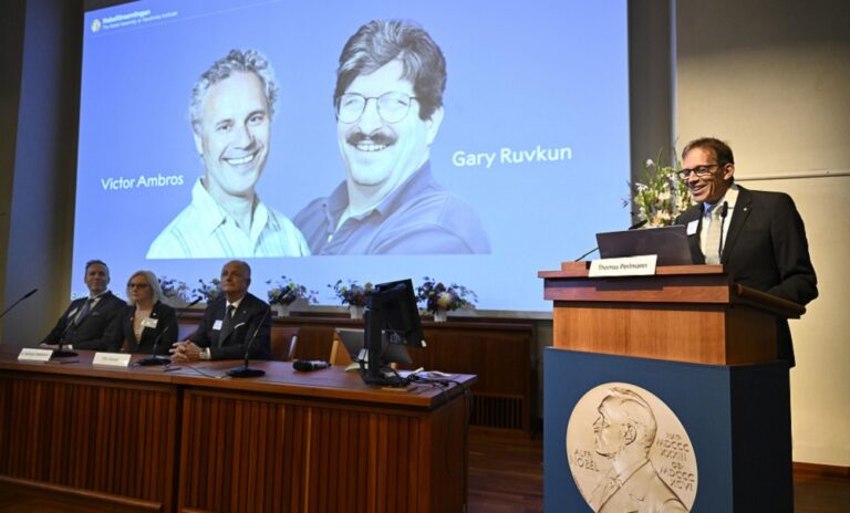 Otorgan el Nobel de Medicina a Ambros y Ruvkun por el micro-ARN