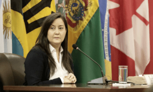 Provea exige medida humanitaria y liberación inmediata para Rocío San Miguel