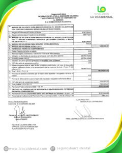 Información relativa al Margen de Solvencia C.A Seguros la Occidental