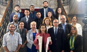 Oposición presenta ante Congreso de Argentina actas e informe técnico del 28J
