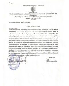 Cartel de Notificación Asunto Provisional VP31-J-2024-004699