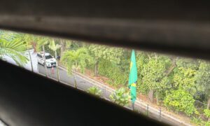 Asedian nuevamente la embajada de Argentina custodiada por Brasil en Caracas