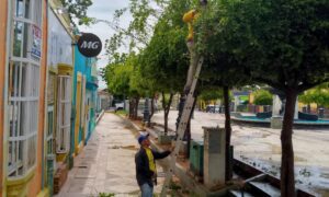 Continúan trabajos de mantenimiento y saneamiento en el parque Udón Pérez de Maracaibo