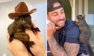 Ardilla influencer “Peanut” es confiscada y sacrificada por autoridades de Nueva York