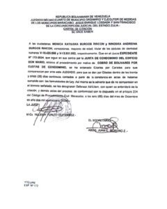 Cartel de Citación Expediente Nro 172