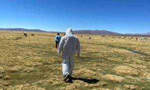 Muere venezolana al cruzar la frontera de Chile con Bolivia
