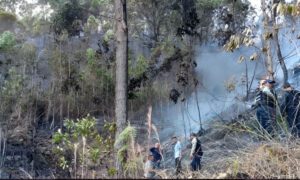 Padrino López confirma que avioneta estrellada en El Hatillo pertenecía al Ministerio de Interiores