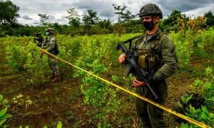 Petro afirma que hay una “fuerza extranjera” detrás de la violencia en el Catatumbo