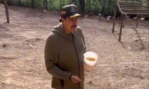 Maduro anuncia que “venderá” huevos con Cilia Flores en el mercado de Quinta Crespo