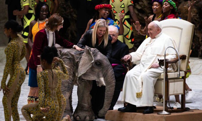 Papa Francisco recibe al CircÁfrica con elefantes mecánicos