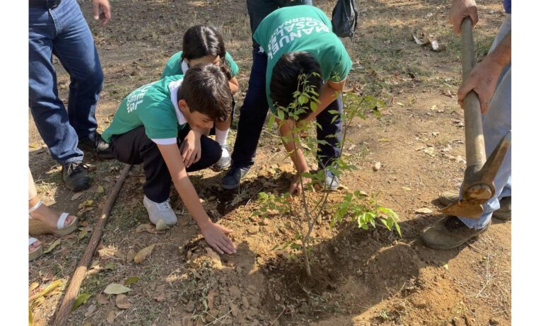 Siembran 400 curarires cerca del parque Udón Pérez