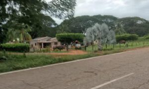 General retirado asesina a dos obreros de su finca y luego se quita la vida