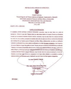 Cartel de Notificación Asunto VP31-J-2025-0045