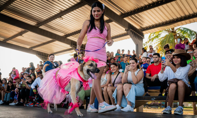 Desfile de Carnaval de Mascotas de la Alcaldía se realizará con comparsas caninas