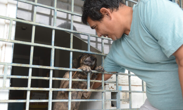 Dueño del perro encerrado en Veritas aclara que “no está abandonado”