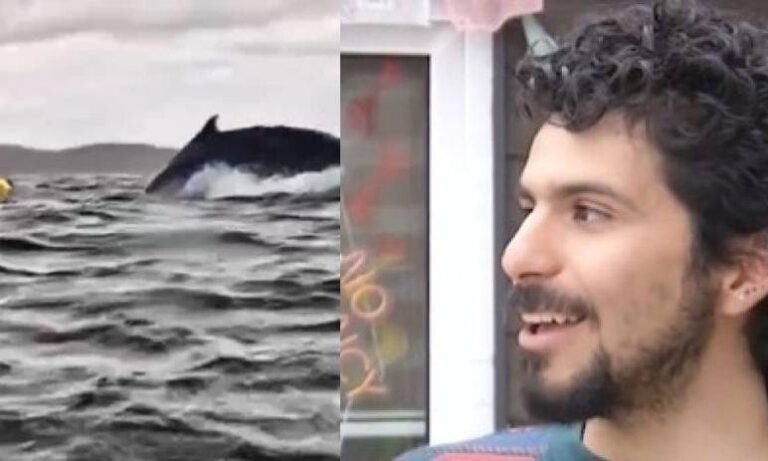  Venezolano “tragado” por una ballena en Chile: “Pensé que había muerto” <br><span class='subtitulos' style='    font-size: 18px;     font-weight: 600;' > Adrián Simancas, de 24 años, navegaba en kayak en el estrecho de Magallanes junto con su papá cuando fue atacado por el mamífero más grande </span>