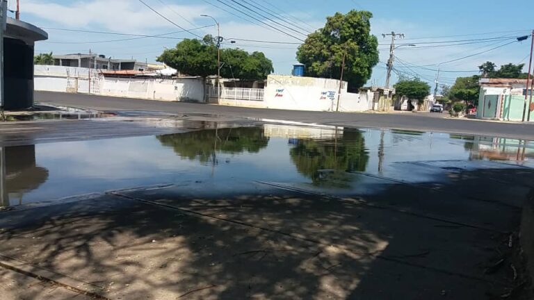 Miles de litros de agua se desperdician por tubo roto en San Jacinto