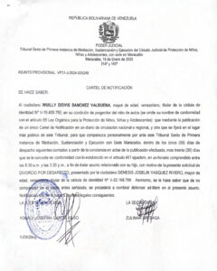 Cartel de Notificación Asunto Provisional VP31-J-2024-005248
