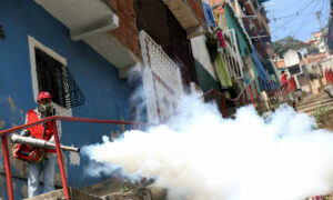 Lanzan plan de vacunación y fumigación para prevenir dengue y oropouche