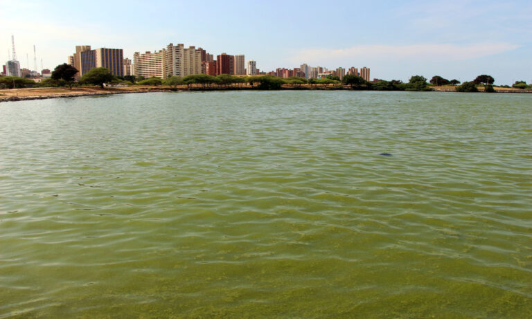 Crean plataforma para monitorear la calidad de agua del Lago de Maracaibo