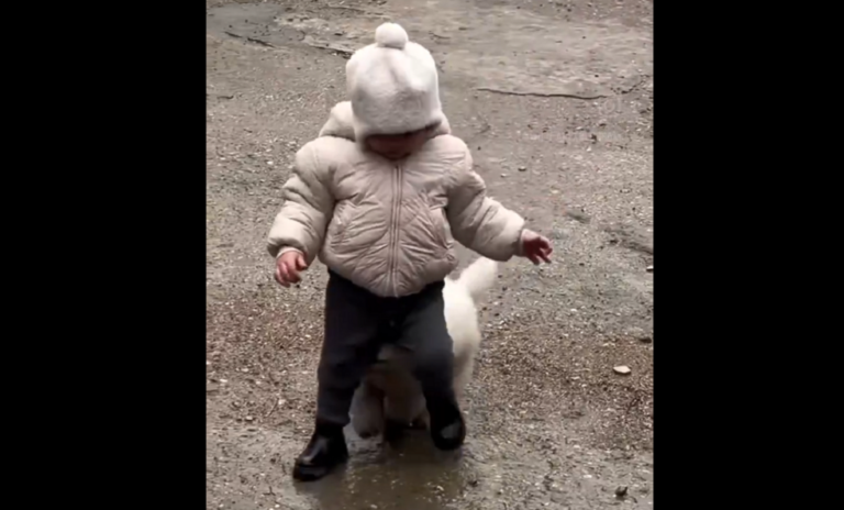 Niño y su cachorro derrochan ternura mientras juegan