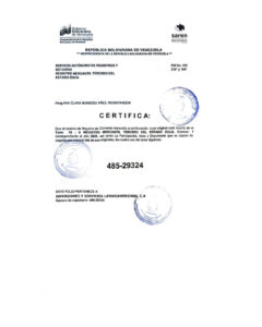 Registro Mercantil Inversiones y Servicios Latinoamerica C.A Nro 485-29324