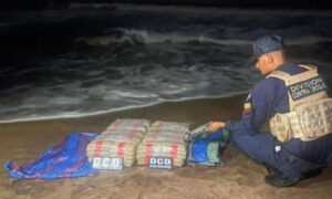 Incautan otros 37 fardos de cocaína y 13 vehículos en el municipio Miranda