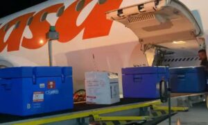 Llegan desde Nicaragua vacunas contra la tuberculosis y la poliomielitis