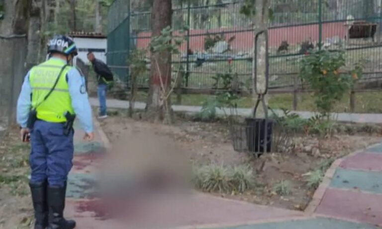 Muere vigilante que intentó acariciar leones en zoológico de Mérida
