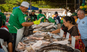 Feria del Pescado de la Alcaldía está este lunes en el mercado de Corito