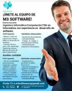 Se solicita Ingeniero Informático / Computación / Auxiliar Contable