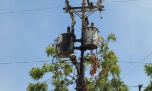 Ocho familias de San Jacinto permanecen sin electricidad desde abril