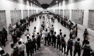 EE. UU. da 12 horas para impugnar deportaciones bajo Ley de Enemigos Extranjeros