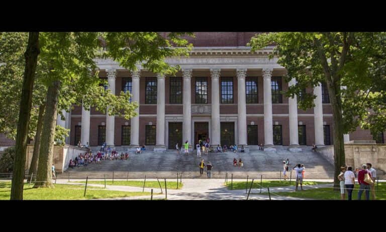 EE. UU. pausa emisión de visas de estudiantes extranjeros