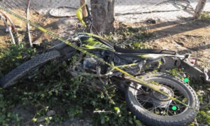 Muere un pnb tras estrellarse contra un árbol en El Marite