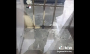 Antisociales rompen una reja y hurtan apartamento en El Cují