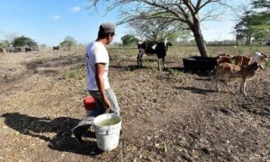 La “sequía” impacta los precios de varios rubros en el país