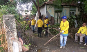 Gobernación atiende caída de árboles por lluvias en Bolívar y Santa Lucía