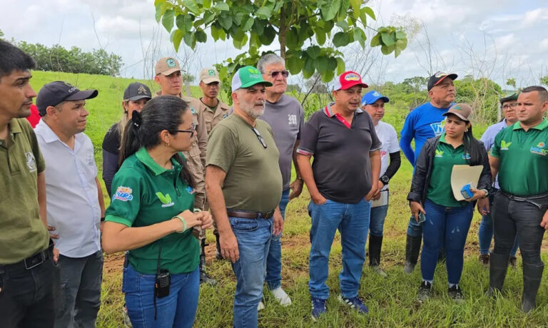 Lanzan plan de reforestación en zona protegida de Portuguesa tras lluvias