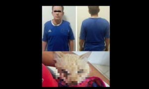 Lo imputan por golpear salvajemente con un palo a un gato