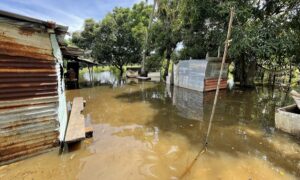 Crecida del Orinoco deja más de 1.500 damnificados en Amazonas y Bolívar