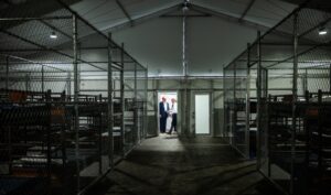EE. UU. planea construir otras 5 cárceles para migrantes como “Alligator Alcatraz”
