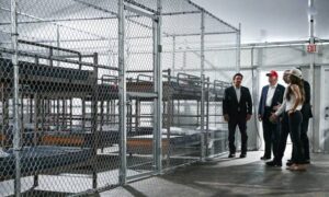 EE. UU. comienza a deportar a migrantes desde “Alligator Alcatraz”