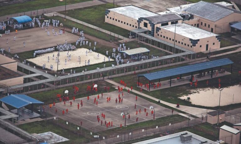 EE. UU. remueve a cerca de 500 migrantes en vuelos desde “Alligator Alcatraz”