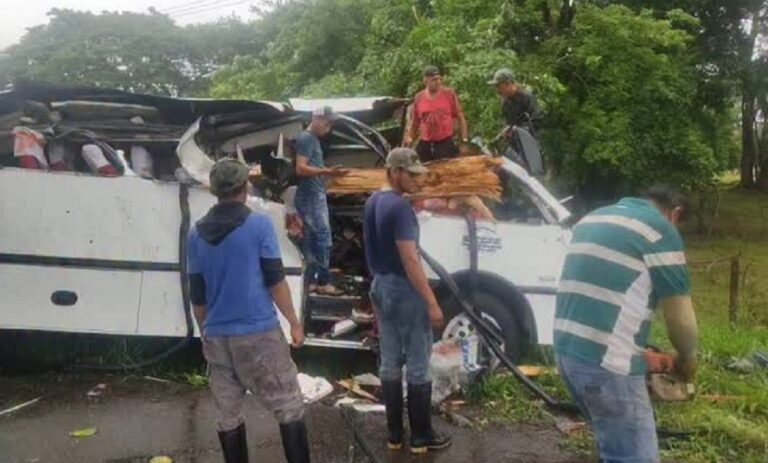 Cuatro muertos y 11 heridos tras caer árbol sobre buseta en Táchira