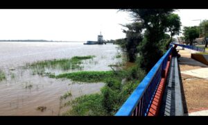 Bolívar en “alerta máxima” por aumento de nivel del Orinoco