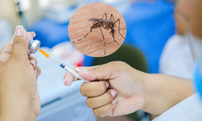 Atienden en Bucaramanga a venezolano con fiebre amarilla