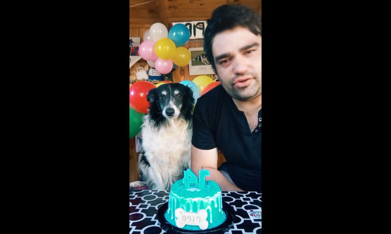 Festeja emocionado el cumpleaños 14 de su perro “Pipo”