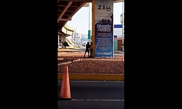 Policía cachetea y da puñetazo a compañera debajo del elevado Las Delicias